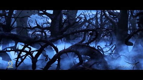 Oz The Great and Powerful - Dark Forest Shot Build - YouTube