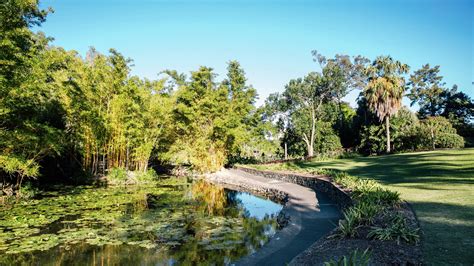 Brisbane Botanic Gardens Mount Coot Tha Restaurant | Fasci Garden