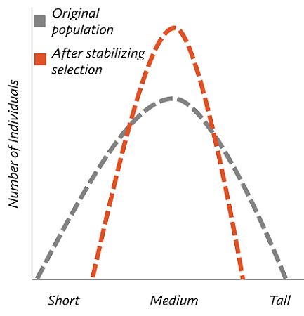 What Are The Different Types Of Selection Pressures In Evolution?