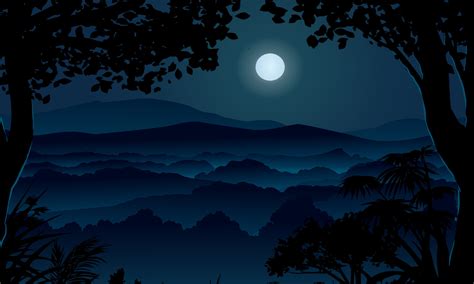 Moonlight over misty forest illustration 34469411 Vector Art at Vecteezy