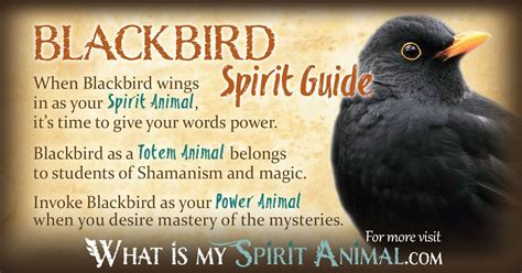 Blackbird symbolism meaning – Artofit