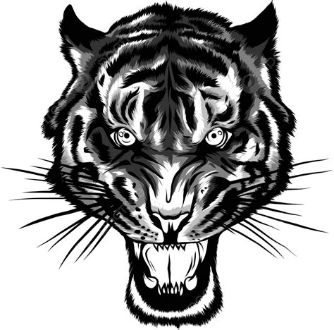 Angry Tiger In Monochrome Vector Illustration Of A Fierce Tigers Head Vector, Remorseless, Mouth ...