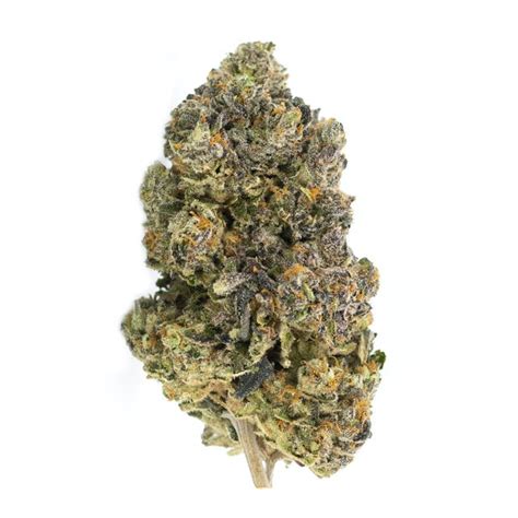 Gelatti Strain | Marijuana Strain Ratings | Flavor Fix