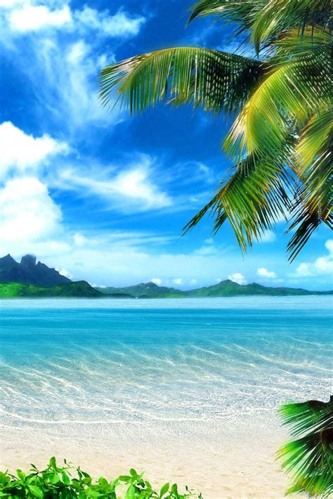 Wallpaper Tropical Scenes (62+ images)