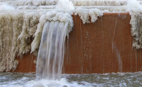 Houston freeze updates: Nearly 1,000 freezing bats rescued from ...