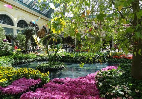 Photos of Bellagio Conservatory & Botanical Gardens, Summer Celebration ...