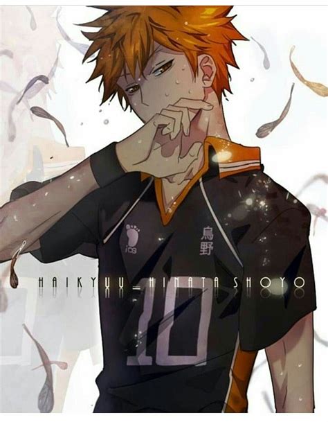 Haikyu shoyo hinata con cabello castaño anime, Fondo de pantalla HD ...