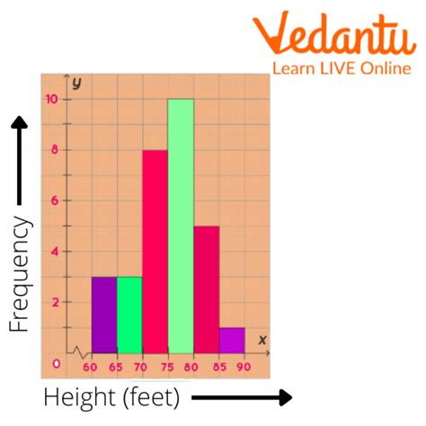 Histogram - Definition, Types, Characteristics, Parts and Work