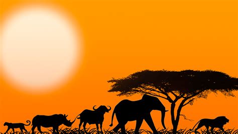 African Sunset Silhouette at GetDrawings | Free download