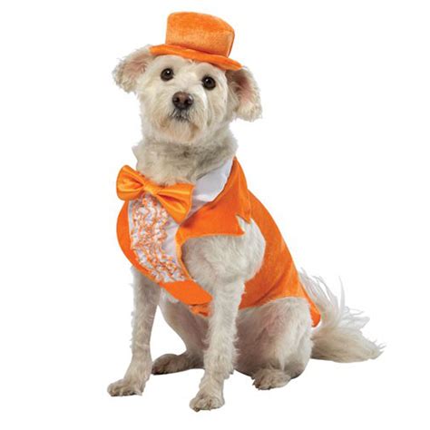 Dumb and Dumber Lloyd Tux Dog Costume - Orange | BaxterBoo