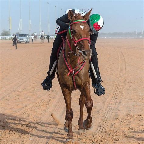 1/10/15 Sheikh Mohammed bin Rashid Al Maktoum Endurance Race PHOTO: s_yaber | Photo, Instagram ...