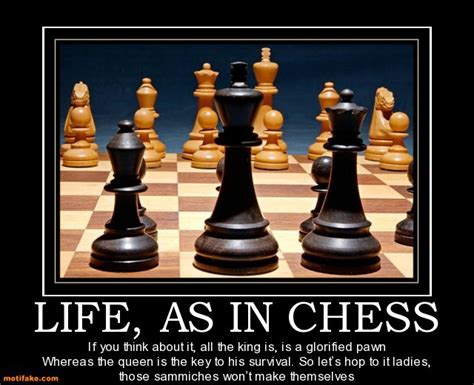 Chess picture jokes. - Chess Forums - Page 2 - Chess.com