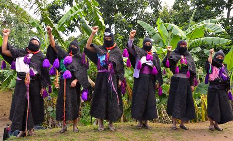 Notes on the Zapatistas – Radical Social Theory: An Appraisal, A ...