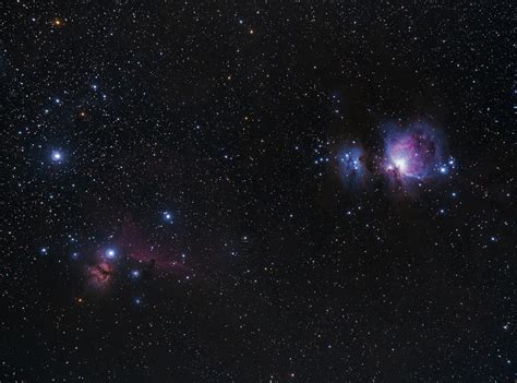 Great Orion & Horsehead Nebula : r/astrophotography