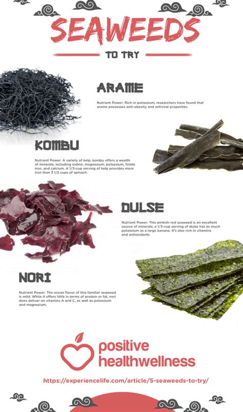 5 Seaweeds To Try – Infographic – Positive Health Wellness