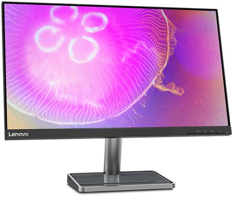 coxo basta opcional lenovo qhd monitor personalizadas puramente investimento