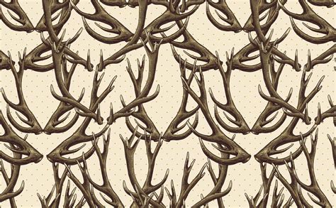 Deer Antlers Wallpapers - Wallpaper Cave