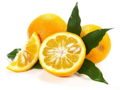 Citrus Aurantium Extract 6 % Synephrine - K.-W. Pfannenschmidt GmbH