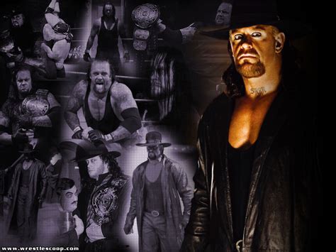 wwe legends images LEGENDS HD wallpaper and background photos (7947850)