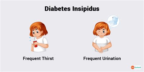 Diabetes Insipidus Icd 10 Icd Mellitus Insipidus E23 - Diabetes Corner