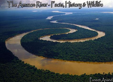 The Amazon River - Facts, History and Wildlife