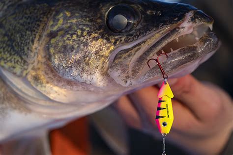 FISHING NEWS: The Spoon Feeder | WalleyeFIRST