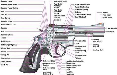 Smith And Wesson M&p Parts Diagram - Wiring Diagram Pictures