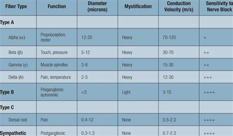 Nerve Fiber Types and Nerve Blocking | Download Table