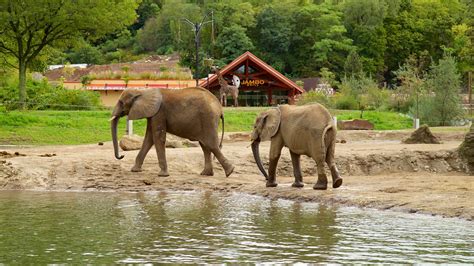 Pittsburgh Zoo and PPG Aquarium in Pittsburgh, Pennsylvania | Expedia