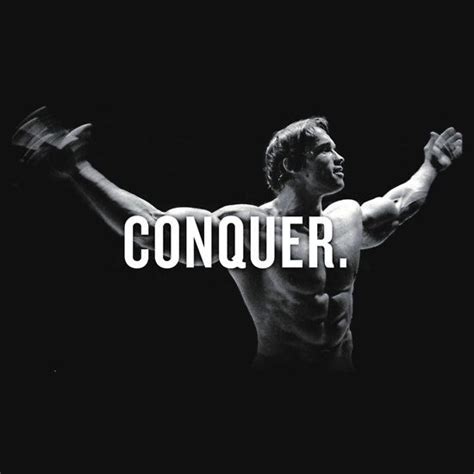 Arnold Schwarzenegger Conquer Wallpaper