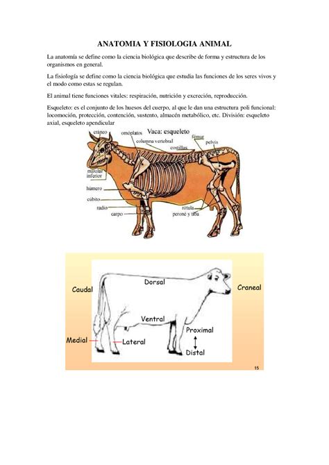 Anatomía Plan 1989 Primera parte del curso - ANATOMIA Y FISIOLOGIA ANIMAL La anatomía se define ...