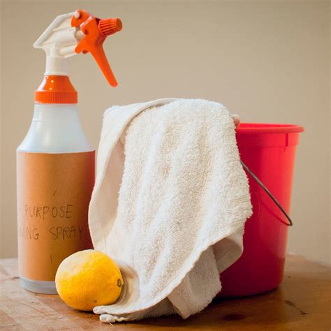 Vinegar Cleaning Hacks That’ll Save You Money | Best Health Magazine