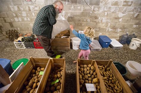 How to make DIY root cellar storage | Hello Homestead