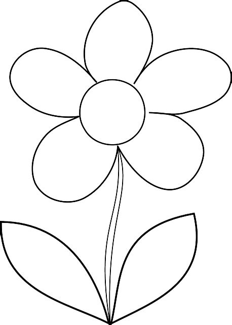 Free vector graphic: Flower, Daisy, Spring, Outline - Free Image on Pixabay - 297798