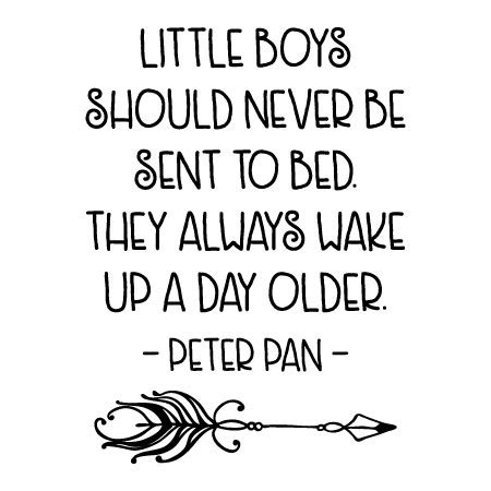 Little Boys Should Never Be Sent to Bed Wall Quotes™ Decal | WallQuotes.com