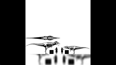 Albertosaurus And Ceratosaurus Size Comparison - YouTube