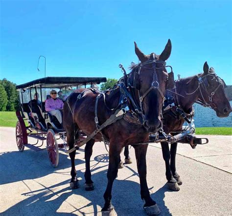 mackinac-island-carriage-tours - O the Places We Go