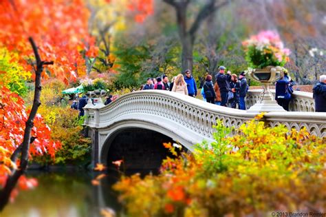 Thoughts From My Camera: Central Park Fall Colors