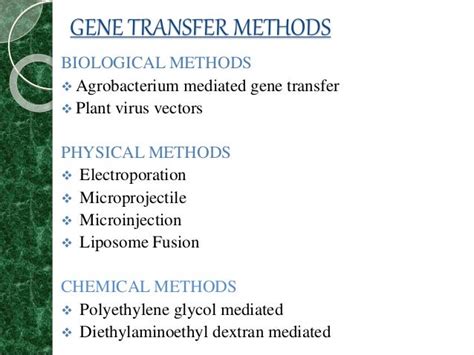 Transgenic plants ppt