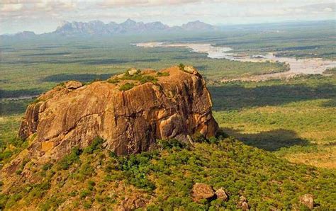 Niassa Special Reserve