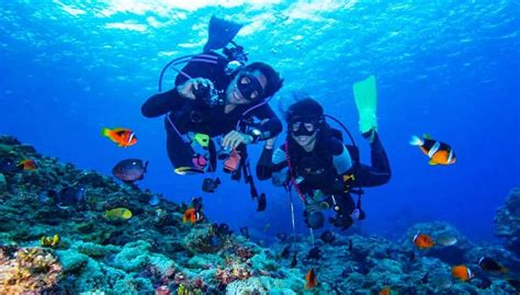 Visiting Snorkeling 3 Popular Island Phu Quoc - My Holiday Vietnam