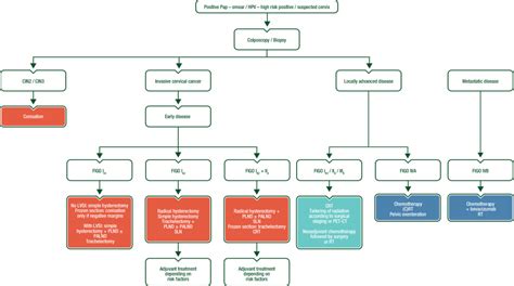 Cervical cancer: ESMO Clinical Practice Guidelines for diagnosis ...