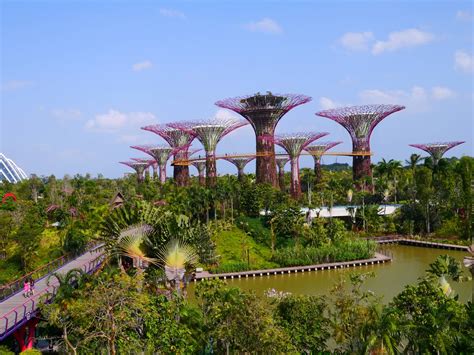 Gardens by the Bay | Design Lin