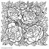 Cool Flower Coloring Pages For Adults sketch template