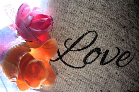 Love Flower Roses Faith Colorful Free Stock Photo - Public Domain Pictures