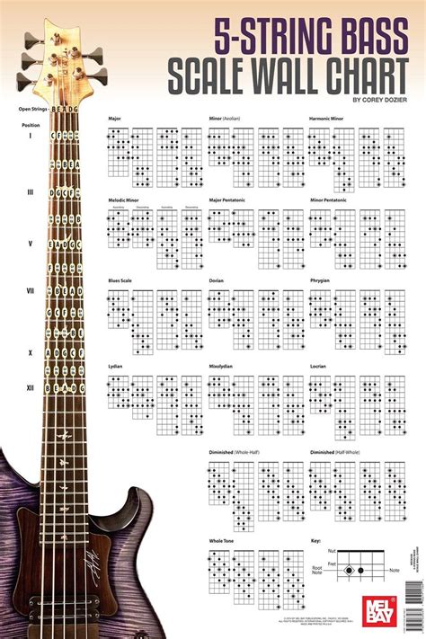 5 String Bass Guitar Scales Wall Chart Large Bass Guitar Scales, Bass ...