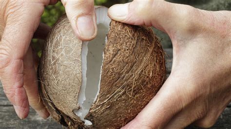 How To Open A Coconut Without Ending Up In The ER