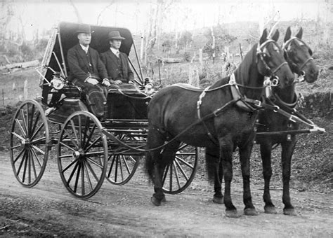 Two horse buggy - Hamilton Libraries