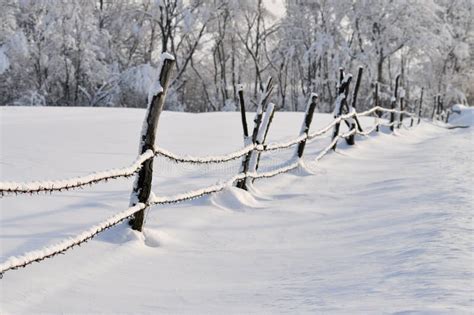 Campagne en hiver photo stock. Image du recul, nature - 37355106