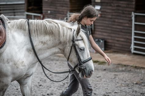 The Tumpy Green Equestrian Centre Photoshoot — Reflex Image Photography ...